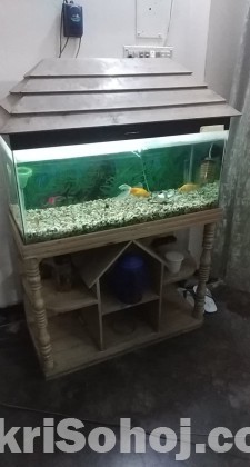 Aquarium full set